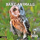 2025 Wall Calendar,Calendar 2025, January 2025
