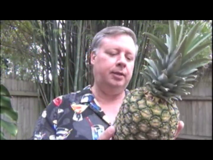 Pineapple Grenade A Novel (Serge Storms) Tim Dorsey 9780061876905