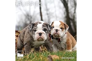 2026 Puppies Wall Calendar | 12" x 24" Open | Giftable | Dog Calendar 2026 | Thick & Sturdy Paper for Calendar Organizing & Planning | Pacific Waters Press (Puppies)
