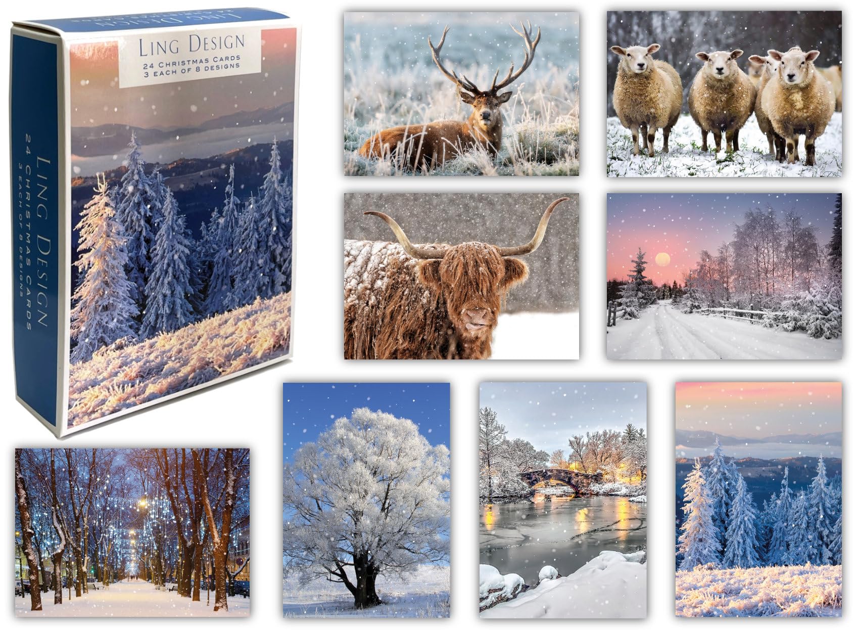 Winter Wonderland Photographic Scenic Premium Box of 24 Assorted Christmas Cards - 3 Each of 8 Designs - Great British Card Company (CHRISTMAS SCENES)