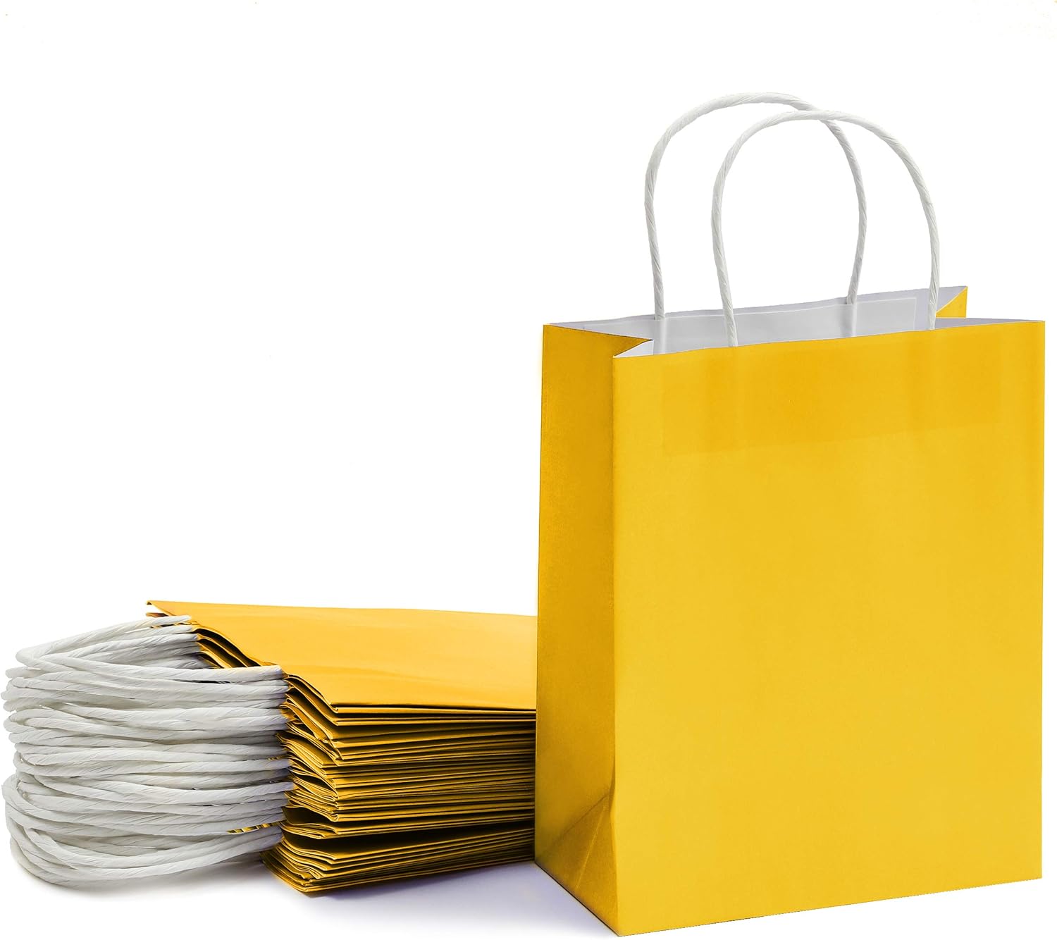 Paper Party Gift Bags with Handles (8 x 10 in, Medium Size