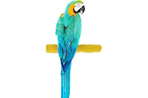 Sweet Feet and Beak Comfort Grip Safety Perch for Bird Cages - Pedicure Perch for Birds to Keep Nails and Beaks in Top Condition - Safe Easy to Install Bird Cage Accessories- L 13"