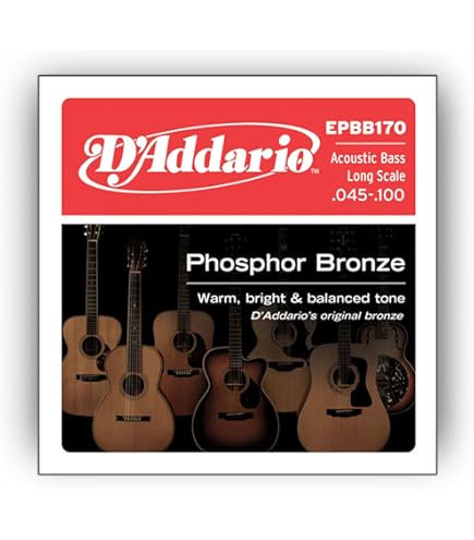 Amazon.com: DR Strings Rare Acoustic Bass Guitar Strings - .045