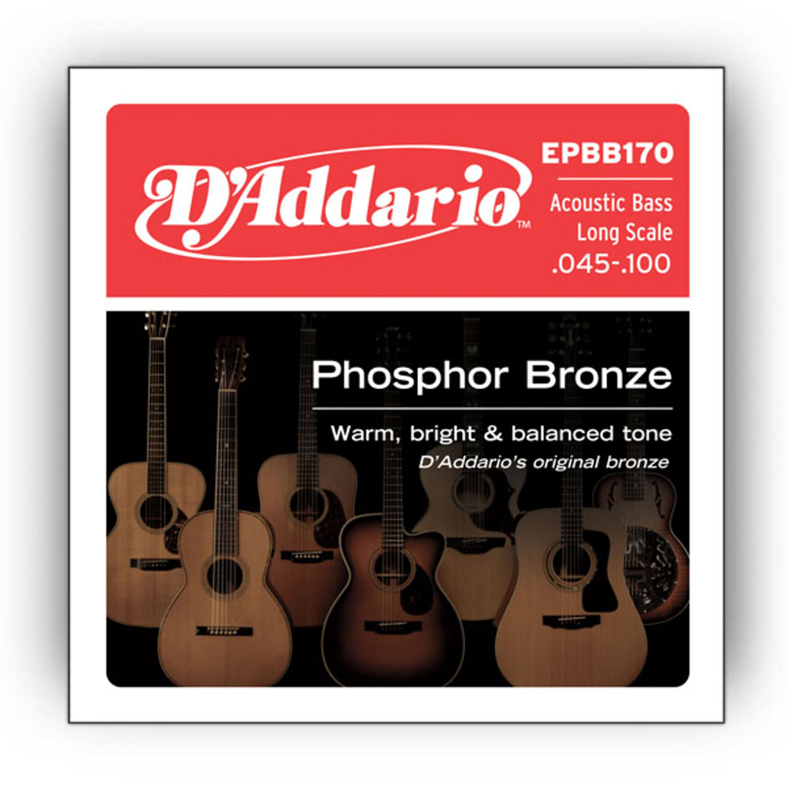 D'Addario Acoustic Bass Guitar Strings - Acoustic Bass Strings - Phosphor Bronze - EPBB170 - Acoustic Bass Guitar 4 String Set - ‎45-100 Gauge - 1 Pack