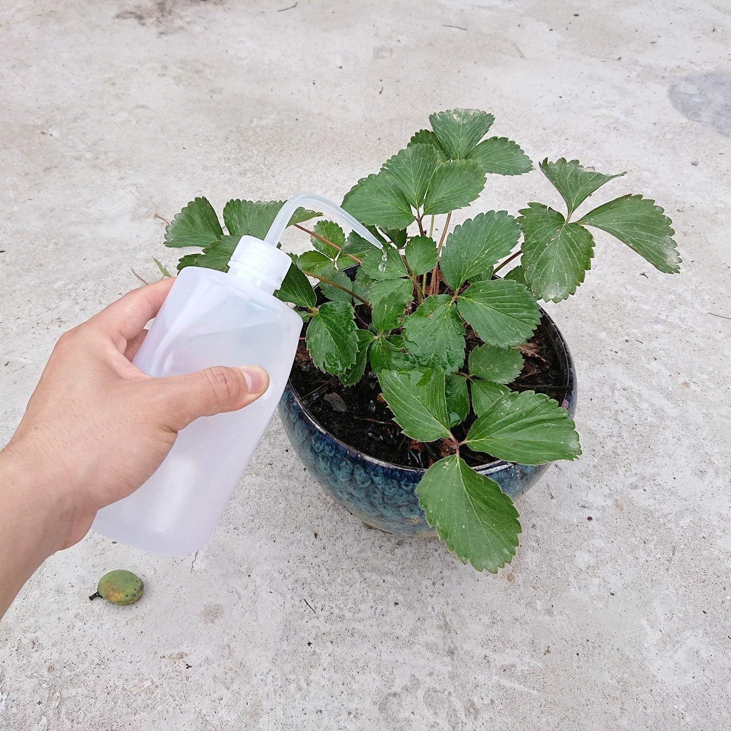 Axe Sickle 3pcs Plastic Safety Squeeze Bottle 500 mL Wash Bottle Watering Tool, Lab Tip Liquid Storage, 16oz / 3 Bottle. : Garden & Outdoor