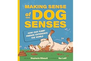 Making Sense of Dog Senses: How Our Furry Friends Experience the World
