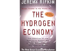 The Hydrogen Economy