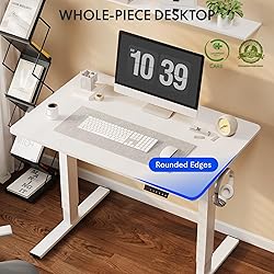 FLEXISPOT One-Piece Electric Standing Desk, 48 x 24