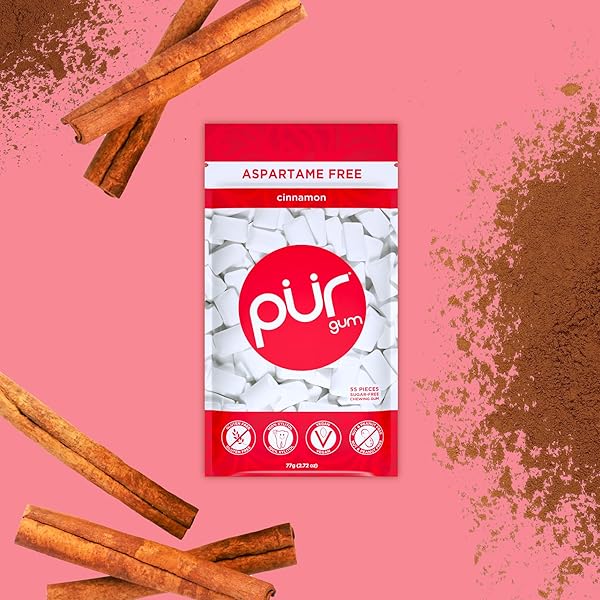 PUR GUM | ASPARTAME FREE CHEWING GUM | 100% XYLITOL | NATURAL CINNAMON FLAVORED GUM, 55 PIECES (PACK OF 3)