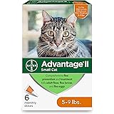 advantage 2 kitten 4 pack