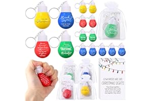 Landical 20 Set Coworkers Christmas Gifts Bulk Employee Appreciation Gift for Staff Team Teacher Light Bulb Stress Ball Keychain (4 Styles)