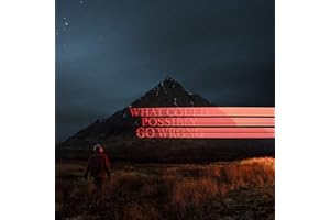 What Could Possibly Go Wrong (Vinyl)