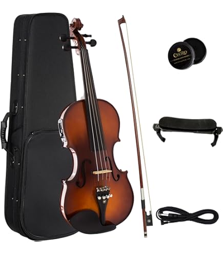 Amazon.com: Stagg VN-4/4 L Violin : Musical Instruments