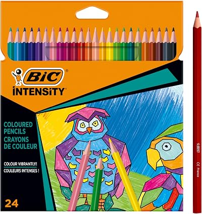 BIC Intensity Coloured Pencils 24 Pack Vibrant Colours Wood-Free Pencils