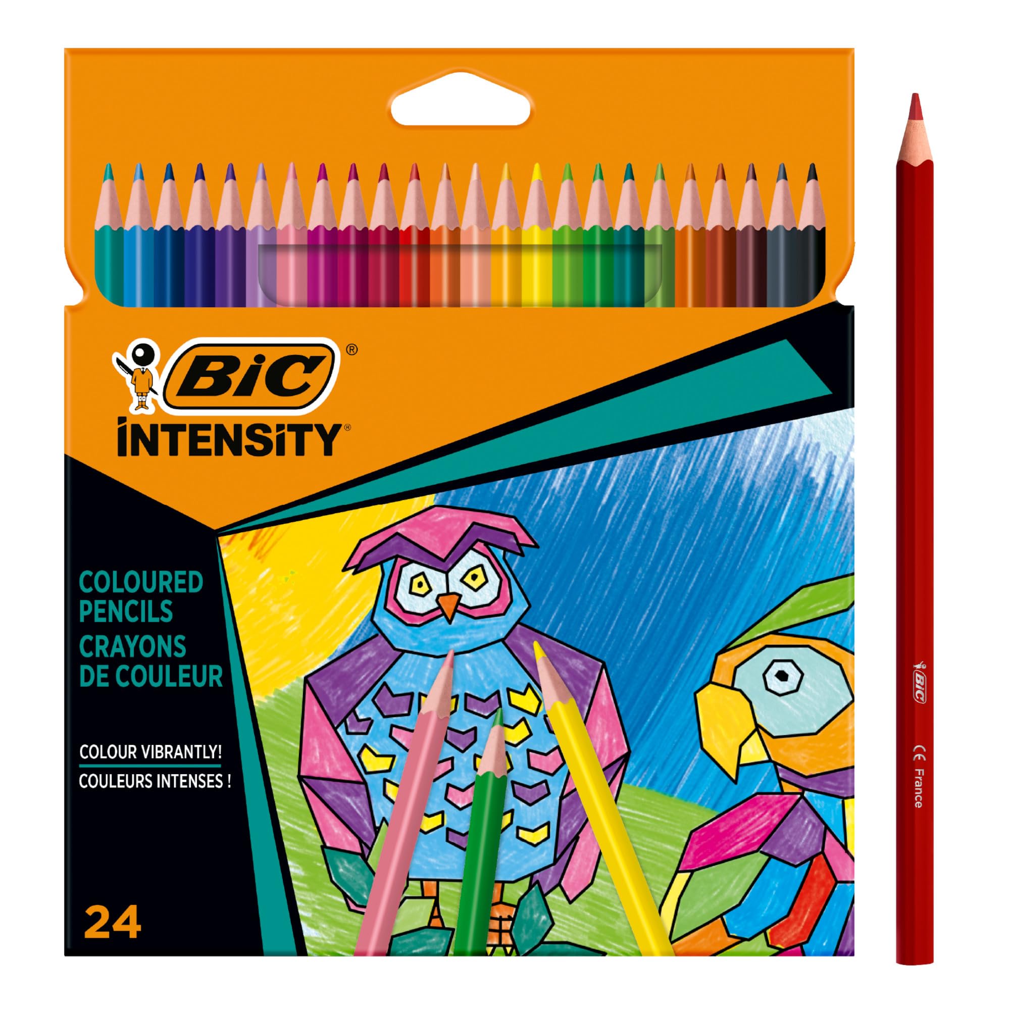 BIC Intensity Coloured Pencils, Vibrant Colouring Pencils, School Supplies for Kids or Adults, 24 Pack