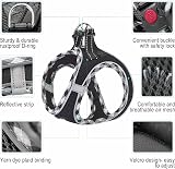 haapaw Dog Harness and Lead Set No Pull Reflective Step-in Size XS-SM view 2
