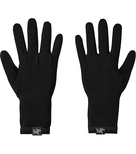 Amazon.com : Arc'teryx Venta Glove | Light Breathable Windproof