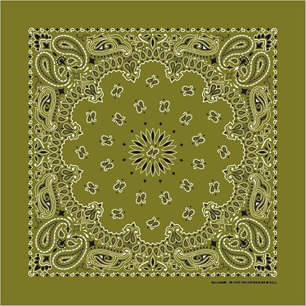 Amazon.com: Hav-A-Hank Cocoa Paisley Bandanna, 22x22, Made in USA