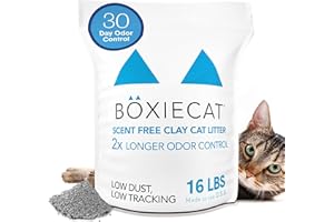 Boxie® Unscented 30 Day Odor Control Clumping Clay Cat & Kitty Litter 16 lb, 99.9% Dust-Free, Hard Flat Top® Clumps, No Fragr