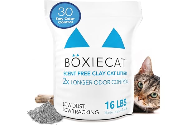 Boxie® Unscented 30 Day Odor Control Clumping Clay Cat & Kitty Litter 16 lb, 99.9% Dust-Free, Hard Flat Top® Clumps, No Fragr
