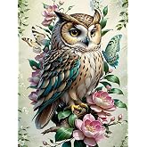 DPHERO Kit Diamanti Painting 5D Gufo Fantasia, Tela Da 30x40 Cm Con Pietre Rotonde Full Drill, Attrezzatura Completa Per Adulti E Bambini