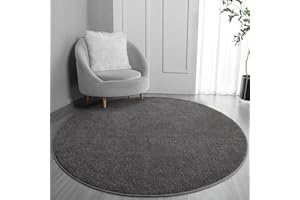 FlyDOIT Round Area Rugs for Bedroom Living Room, 6x6 Dark Grey Super Soft Comfy Thickened Memory-Foam Indoor Circle Carpet, Modern Aesthetic Minimalist Carpet for Boys Girls Adults Nursery Home Décor