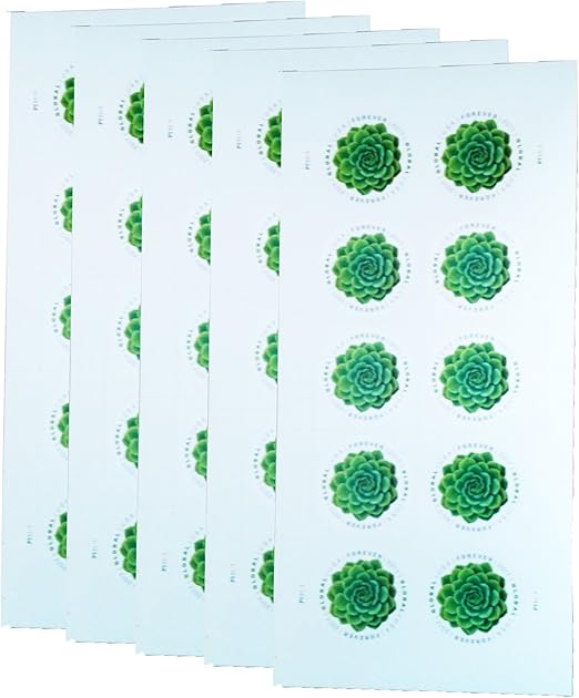 envio internacional amazon