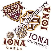 Desert Cactus Iona University Sticker Gaels Vinyl Decals Laptop Water Bottle Car Scrapbook Sheet T2 (Type 2)
