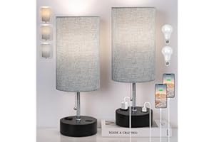 ROTTOGOON 3-Color Temperature Bedside Lamp, Nightstand Lamp with USB Port and AC Outlet, Table Lamp for Bedroom with LED Bulb Small Lamps for Living Room (Gray 2 Pack)