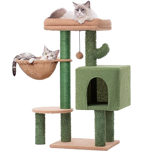 MeowSir Cactus Cat Tree 34 Inches Small Cat Tower with Padded Top