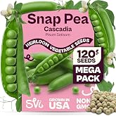 SVI 120 Cascadia Snap Pea Seeds (Pisum sativum) &ndash; Sugar Snap Peas, Sweet Peas Seed Packets, Pea Snaps Garden Seed Pack &ndash; Heirloom Vegetable Seeds Vegetable Garden, Raised Beds, Containers