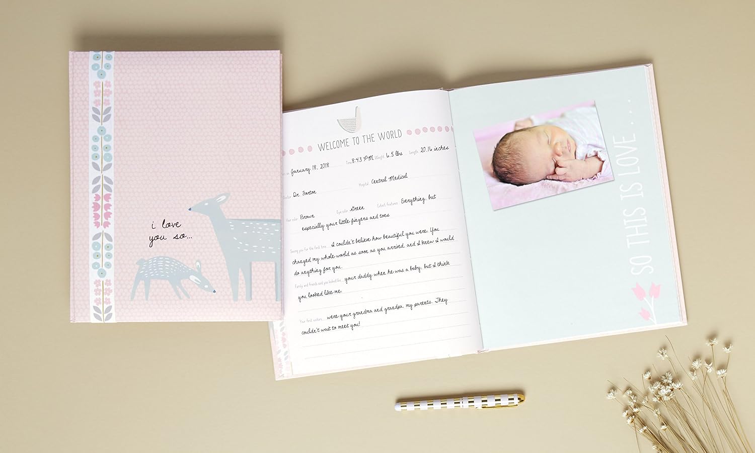 Journals 64 Pages C R Gibson I Love You So Woodland Baby Girl Memory Book Baby Engineering Webinars Com Journals 64 Pages C R Gibson I Love You So Woodland Baby Girl Memory Book Baby Engineering Webinars Com