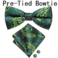 Hi-Tie Mens Suit Vest Bowtie Set Ties for Men V