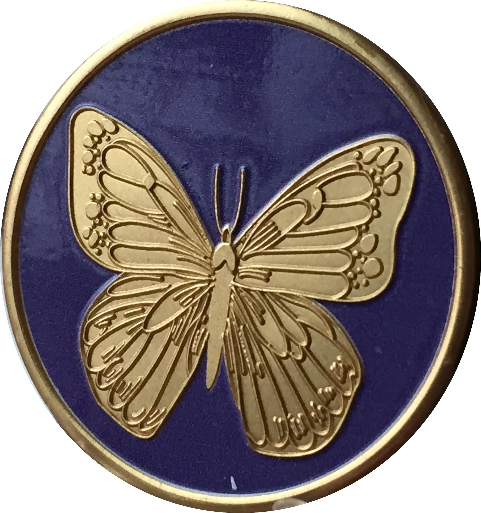 Wendells Purple Bronze Butterfly Medallion Chip With Serenity Prayer On The Back
