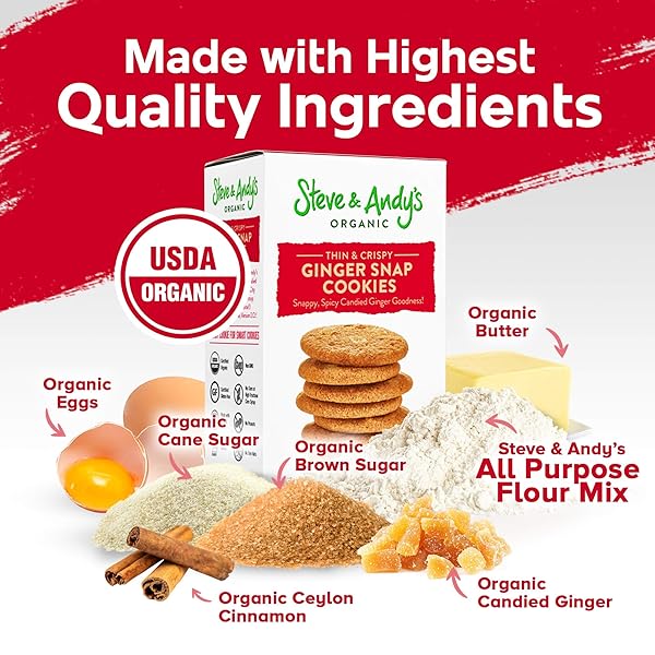 STEVE & ANDY’S ORGANIC GINGERBREAD COOKIES, 5.5 OZ