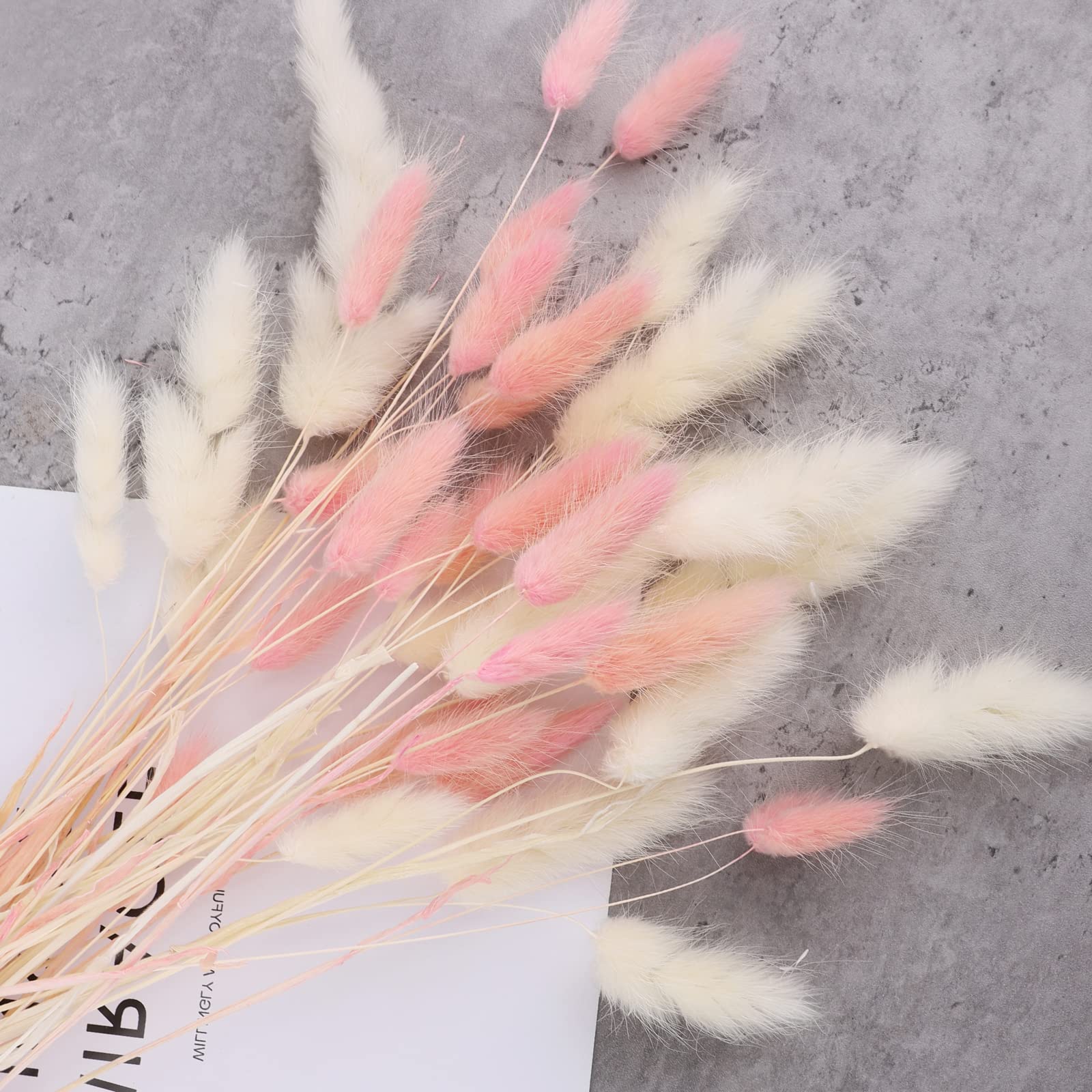50 Pcs 17.7 Inches Lagurus Bunny Tails Pampas Grass Decor White Pink Artificial Rabbit Tails Dried Flowers Bouquet for Home Decor Boho Decor Table Decoration Room Bedroom Decor