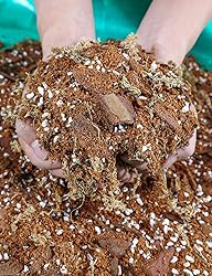TOYPOPOR Orchid Potting Mix for Repotting
