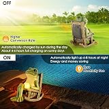 Johiux Frog Garden Ornament Solar LED Outdoor Statue Gnome Fairy Decor view 3