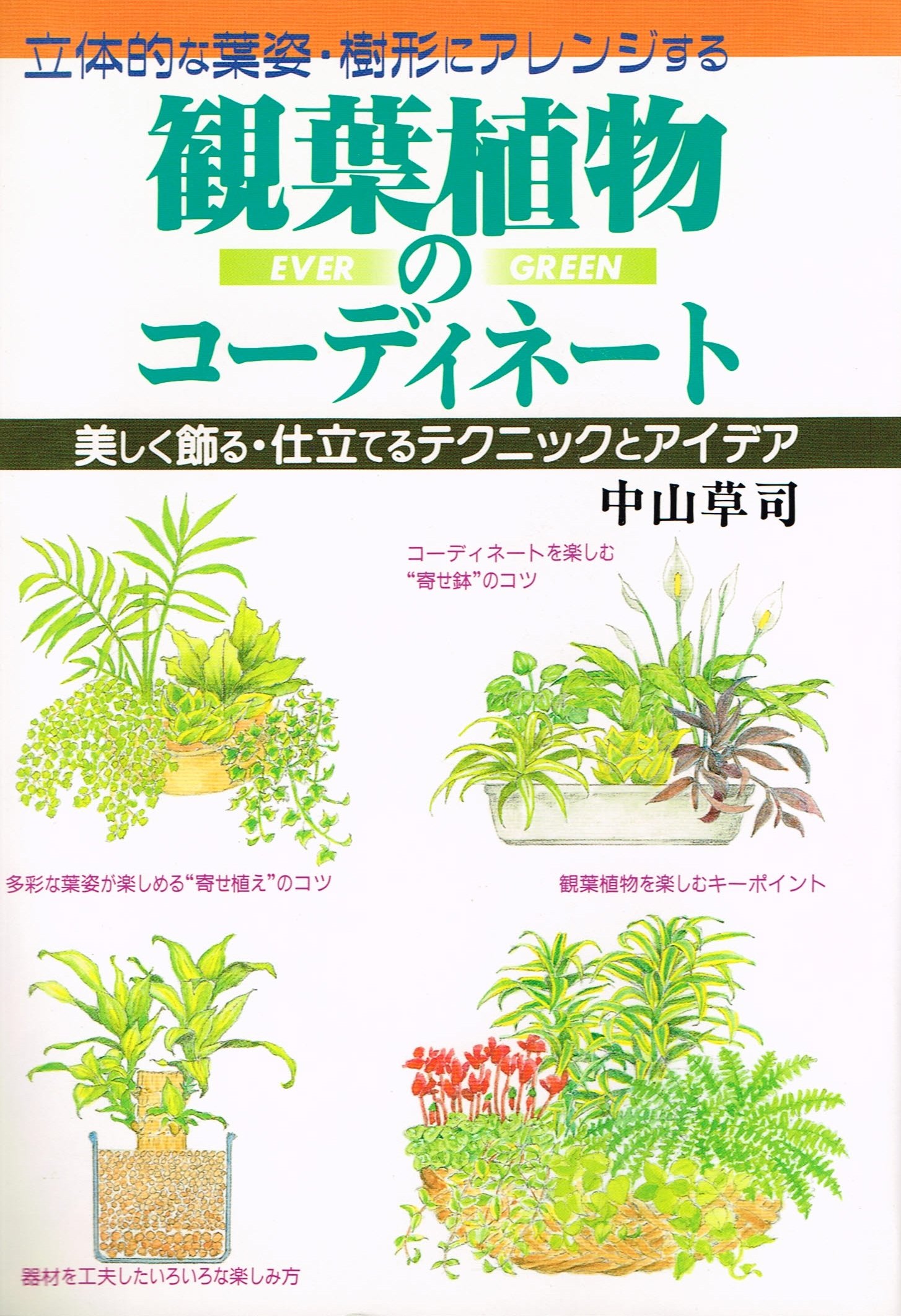 観葉植物のコーディネート 美しく飾る 仕上てるテクニックとアイデア 立体的な葉姿 樹形にアレンジする 中山 草司 本 通販 Amazon