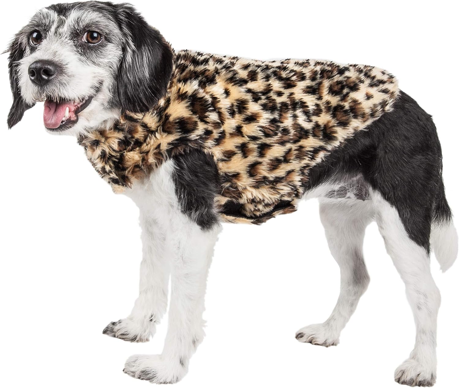 dog fur jacket