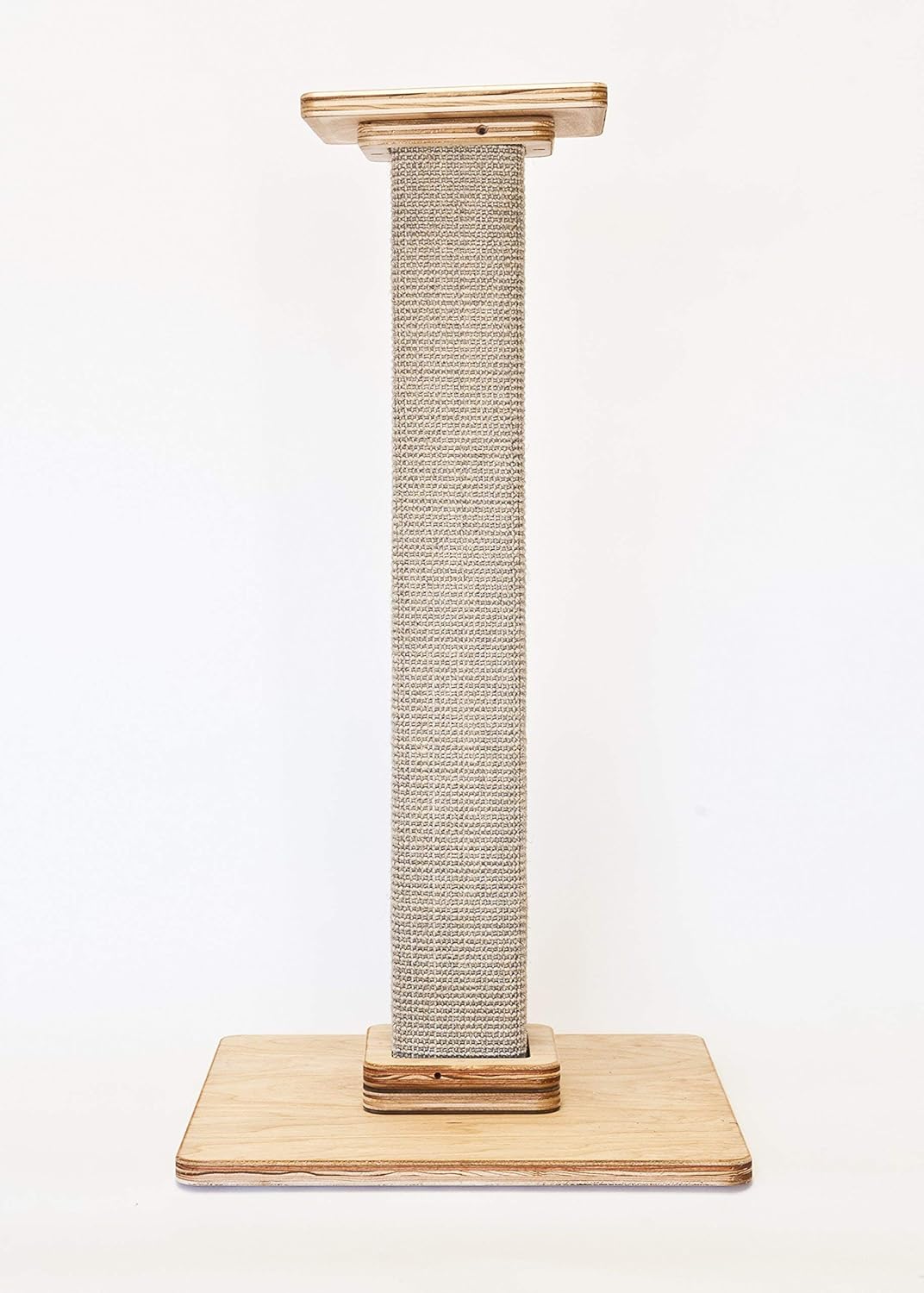 staffy puppy black and white