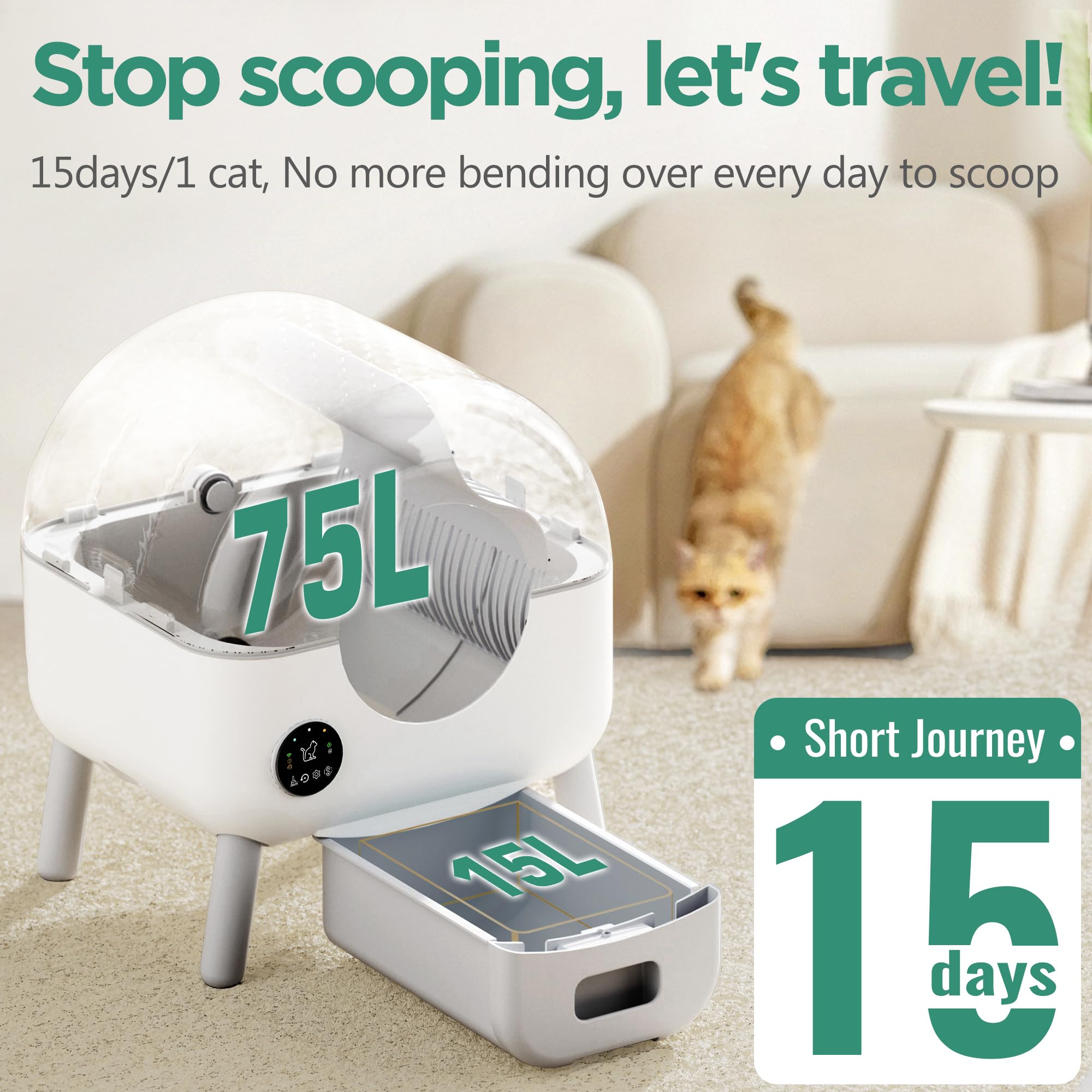 Self Cleaning Litter Box
