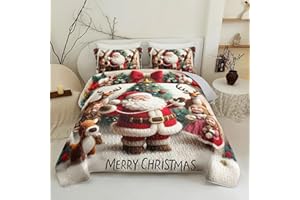 QOOMO Santa Claus Kids Quilt Set,Cartoon Deer Print Bedding Set for Boys Girls Room Decoration,Bed Set Microfiber Lightweight All Season Full/Queen Size,1 Quilt Set 2 Pillowcases