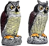 Qzzsmy 2 Packs Fake Plastic Owl Bird, Garden owl