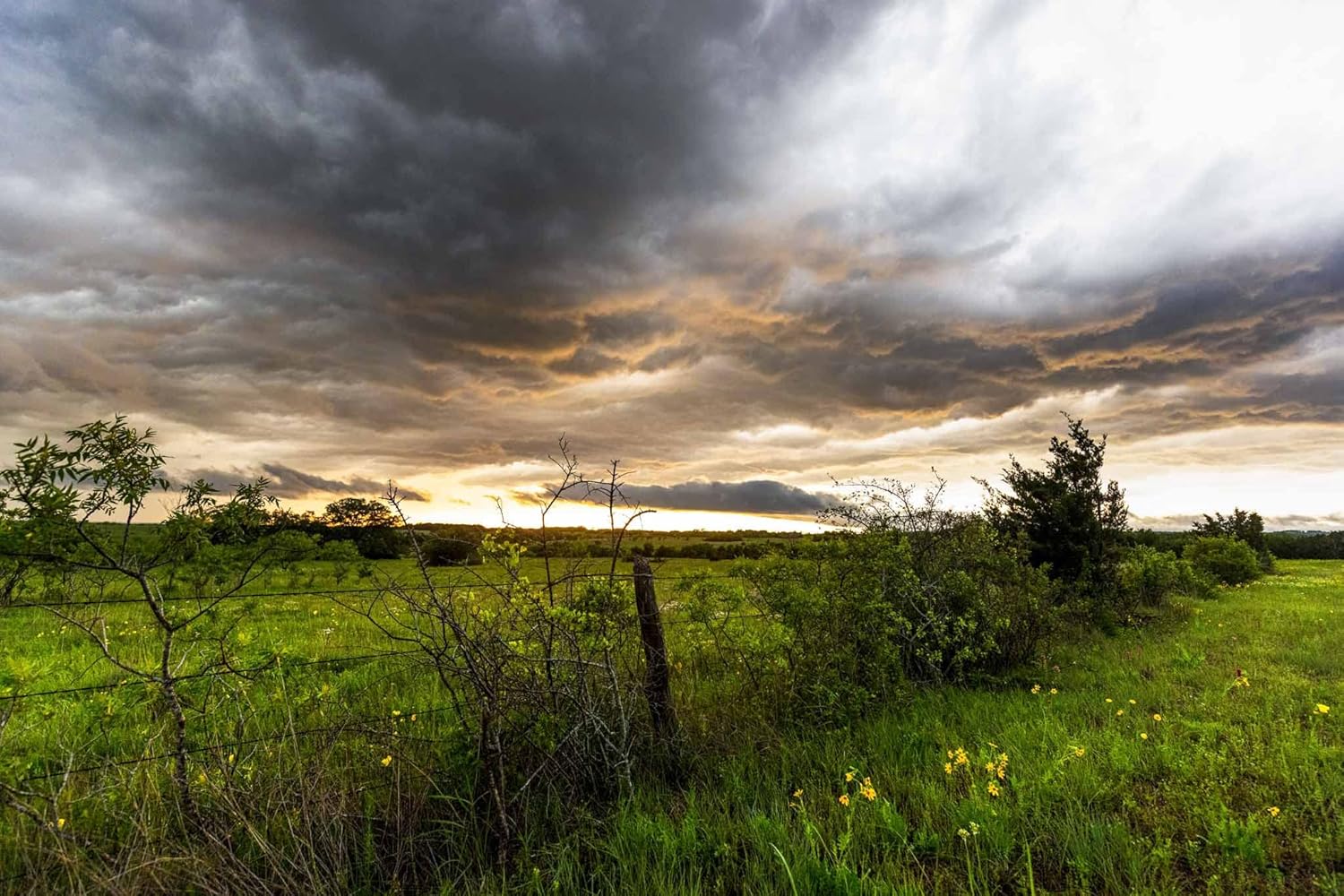 Photographs - Country Photography Print (Not Framed) Picture of Stormy Sky Over Barbed Wire Fence Row at Sunset in Texas Landscape Wall Art Western Decor 4x6 to 40x60