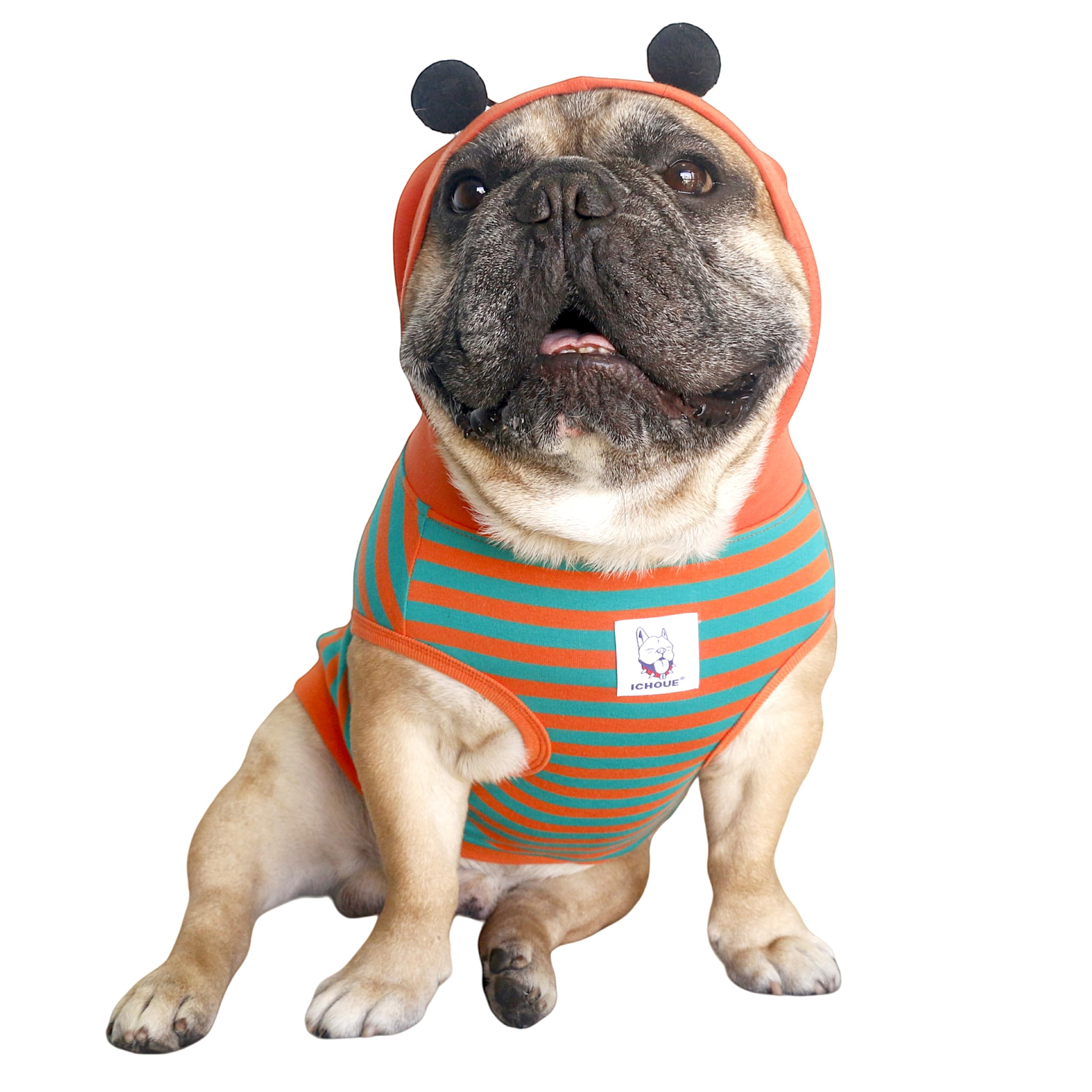 iChoue I am a French Bulldog Bumble Bee Halloween Costumes Clothes Hoodies Shirts Vest for Medium Dogs Cold Weather Winter Coats Frenchie English Pug Pitbull Boston Terrier - Orange Green, Large