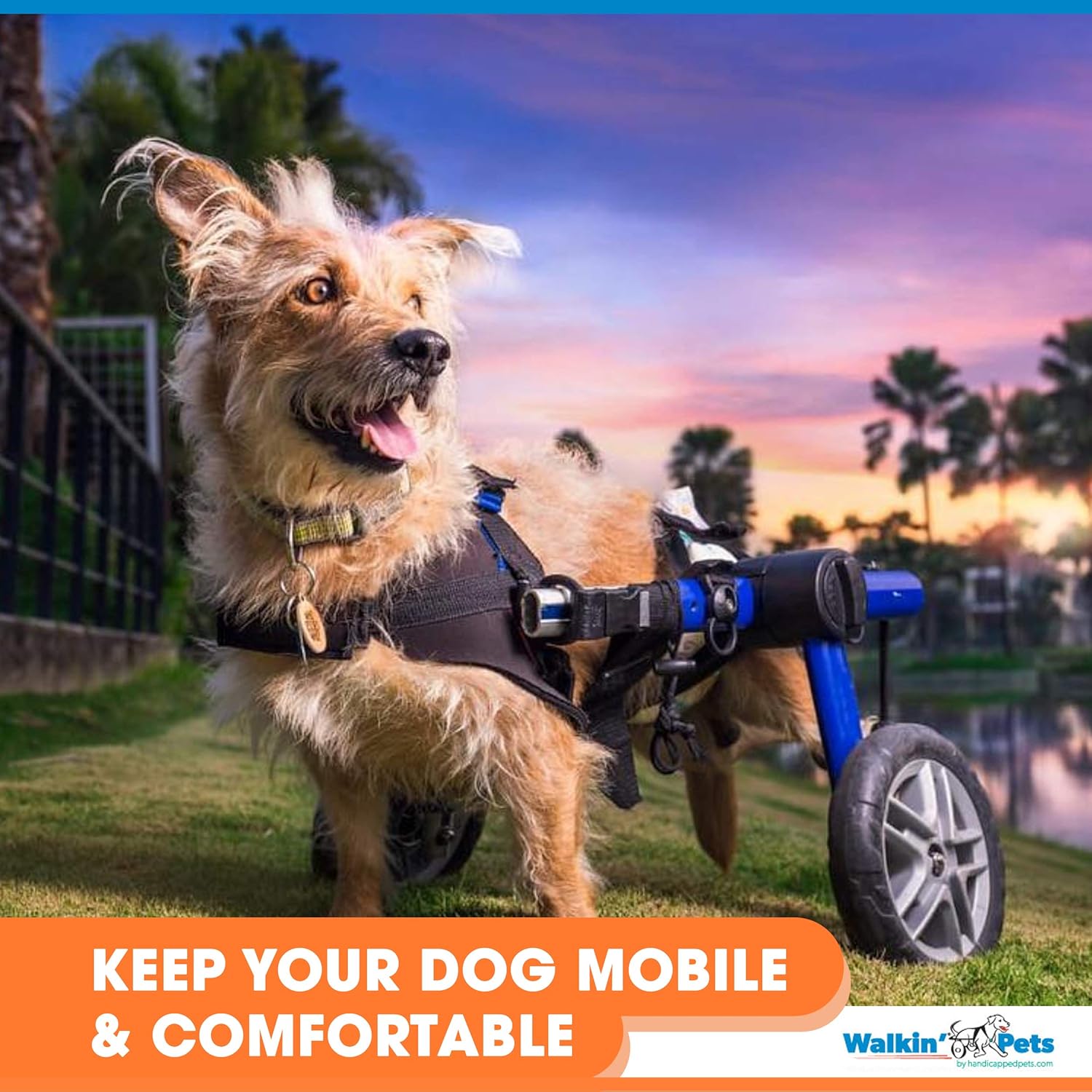 walkin wheels medium