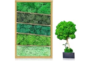 shealthy 5 Colors Reindeer Moss, Preserved Moss for Plants, DIY Clerodendrum Wallichii Decor, Potted Plants Floral Arrangements Home Artistic Garden Decoration (Green Mix Each Color Weights 1.4 OZ)