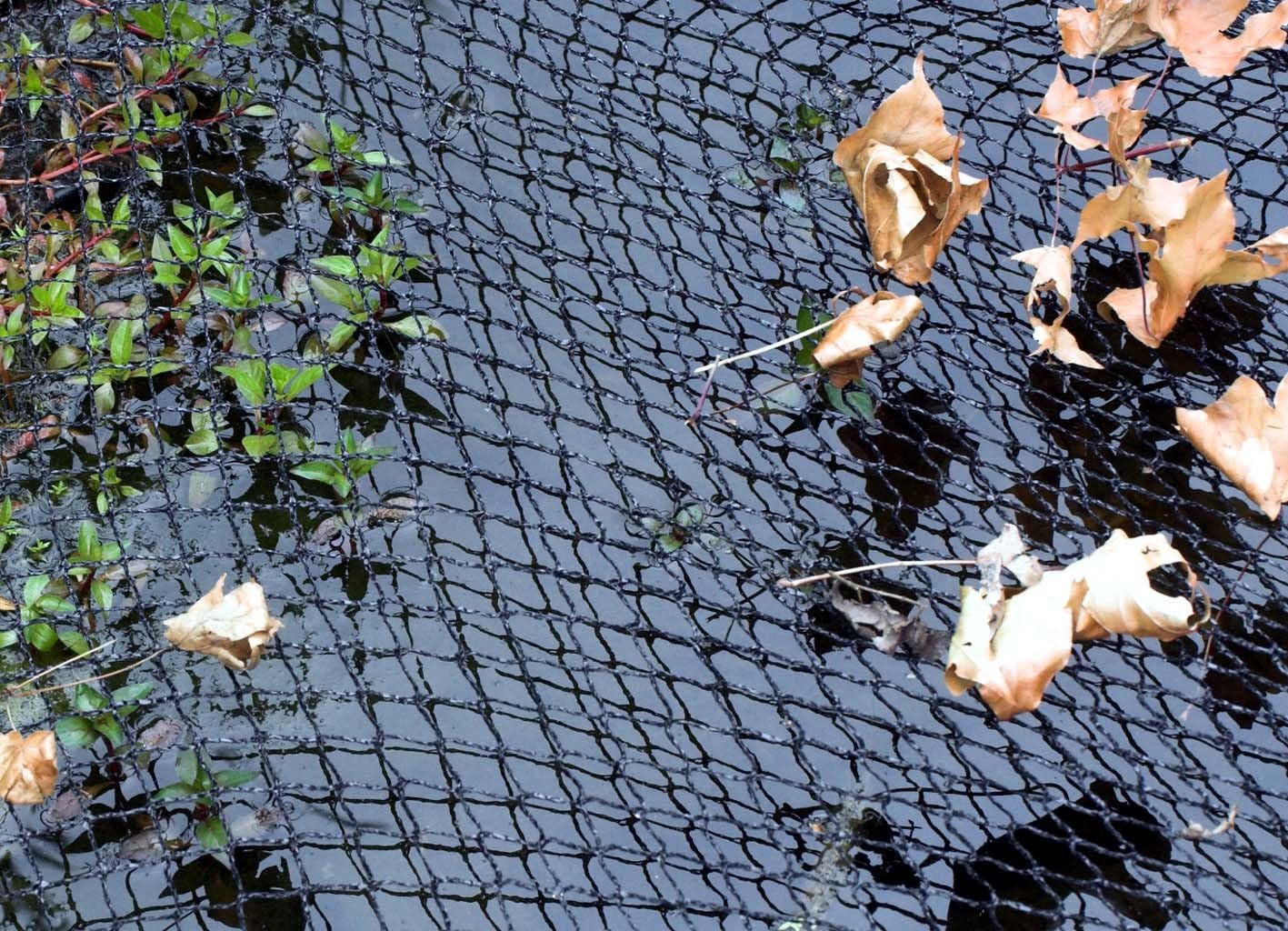 Velda Cover Net for Ponds 4 x 3 m, Black - Image 3