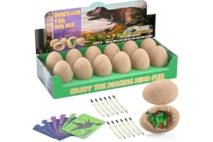 Bigear Dinosaur Eggs Excavation Dig Kit - Dinosaur Toys for Kids - Break Open 12 Dinosaur Eggs and Discover 12 Cute Dinosaurs